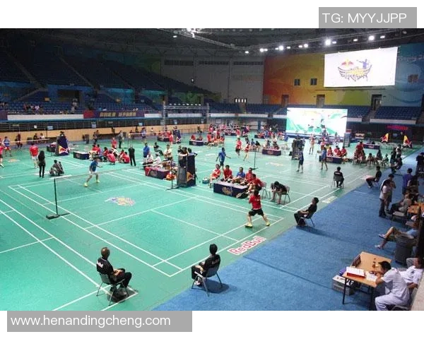 成都羽毛球队在欧锦赛中的比赛经验与表现分析