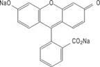CA88手机客户端(官网)CA88会员登录入口