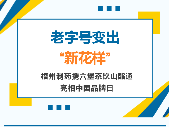 CA88手机客户端(官网)CA88会员登录入口